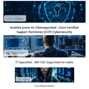 PUE curso de ciberseguridad