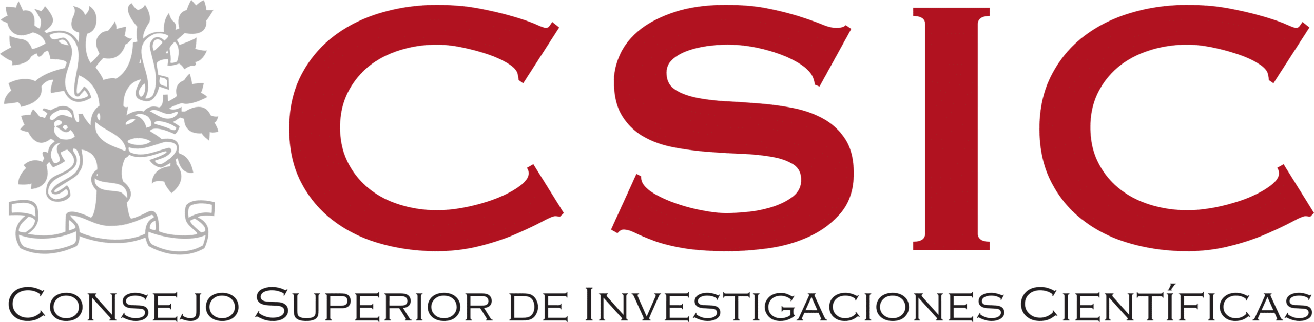 Logo de formación para empresas realizadas por CODE SPACE