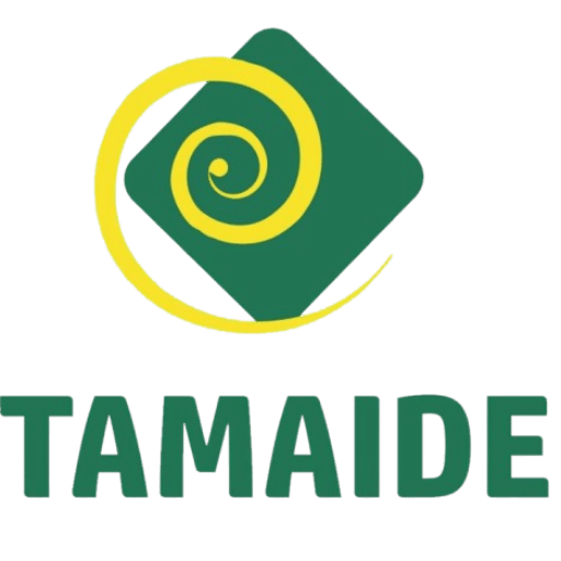 Logo de formación para empresas realizadas por CODE SPACE
