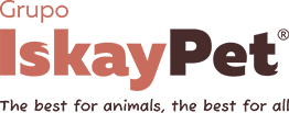 Logo de formación para empresas realizadas por CODE SPACE